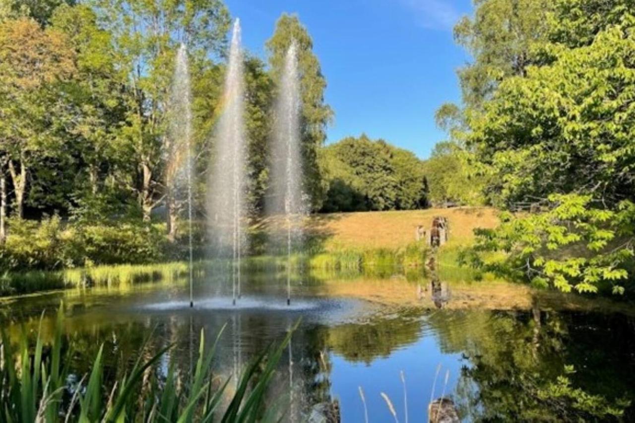 Apartment Ky481 Im Panoramic Hohegeiß Eksteriør bilde