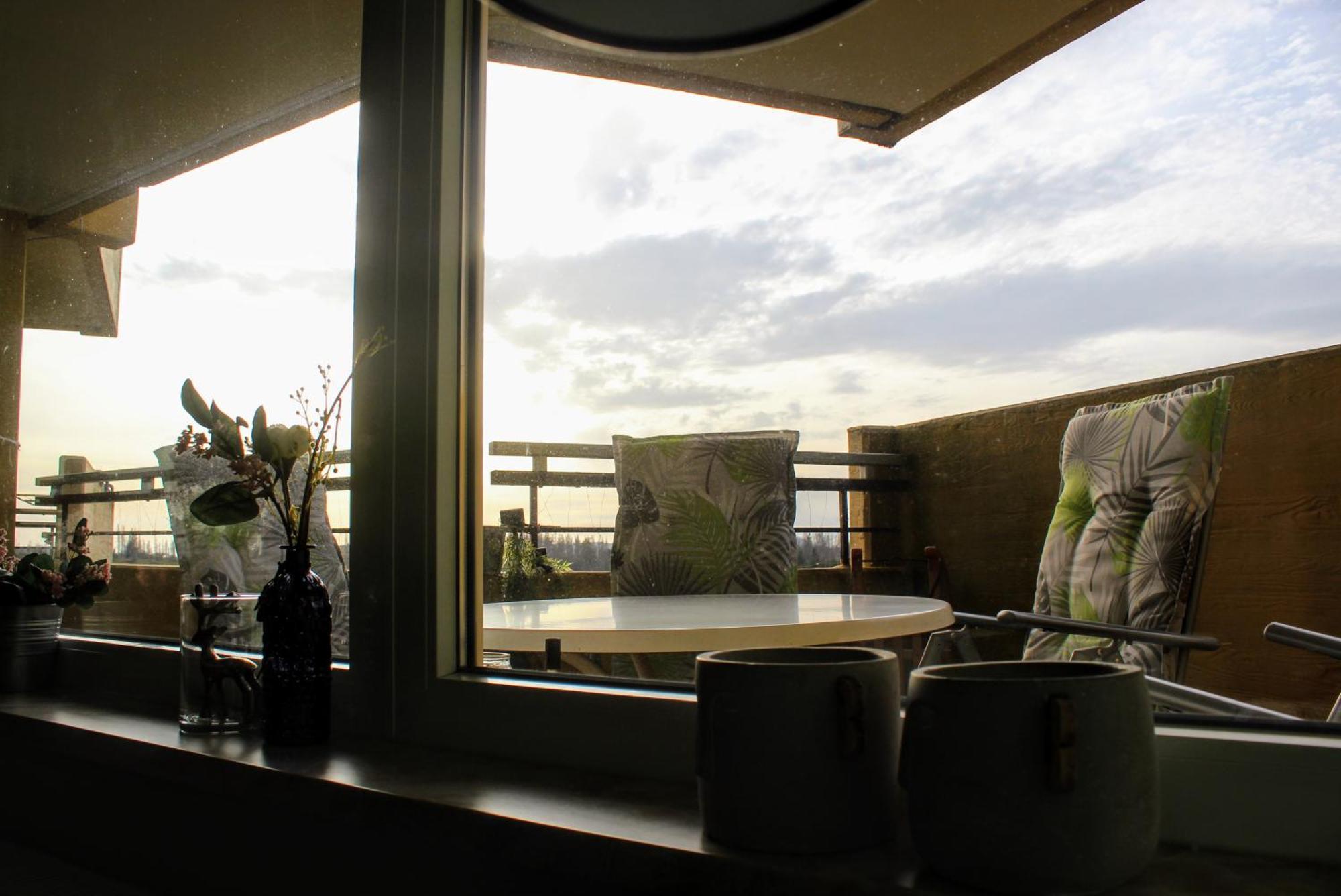 Apartment Ky481 Im Panoramic Hohegeiß Eksteriør bilde